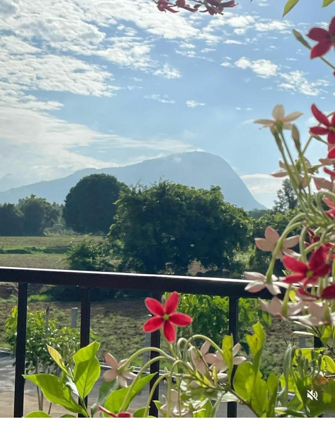 Tuscan Breeze, Nandi Hills Nandigunda Экстерьер фото
